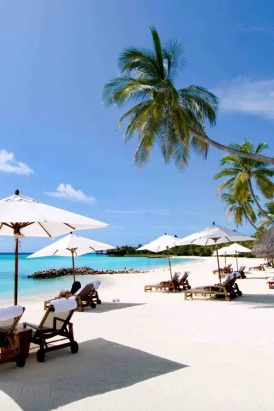 Tour Du Lịch Nha Trang - Đà Lạt 5 Ngày 4 Đêm: Cung Đường Nối Biển Và Hoa