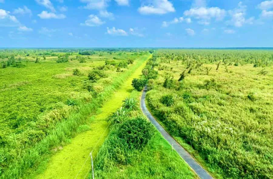 Rừng U Minh Hạ