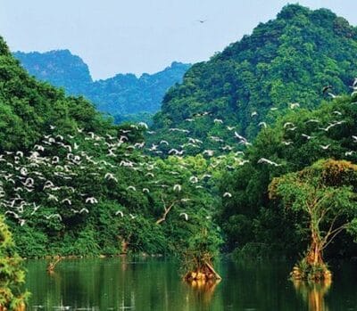 HS28: Tour Cẩm Phả – KDL Vườn Chim Thung Nham – Teambuilding – RQG Cúc Phương  - Cố Đô Hoa Lư