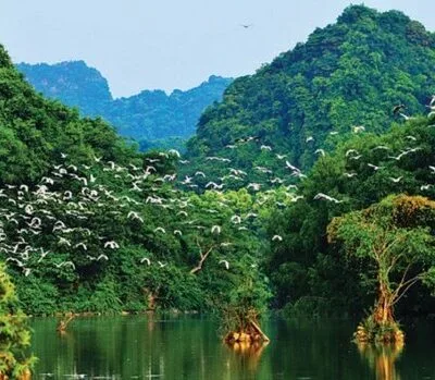 HS28: Tour Cẩm Phả – KDL Vườn Chim Thung Nham – Teambuilding – RQG Cúc Phương  - Cố Đô Hoa Lư