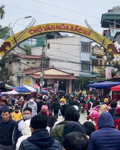 TN9: Tour Cẩm Phả - Sapa – Bản Cát Cát – Hàm Rồng – Thung Lũng Hoa Bắc Hà - Dinh Hoàng A Tưởng – Chợ Phiên Bắc Hà.